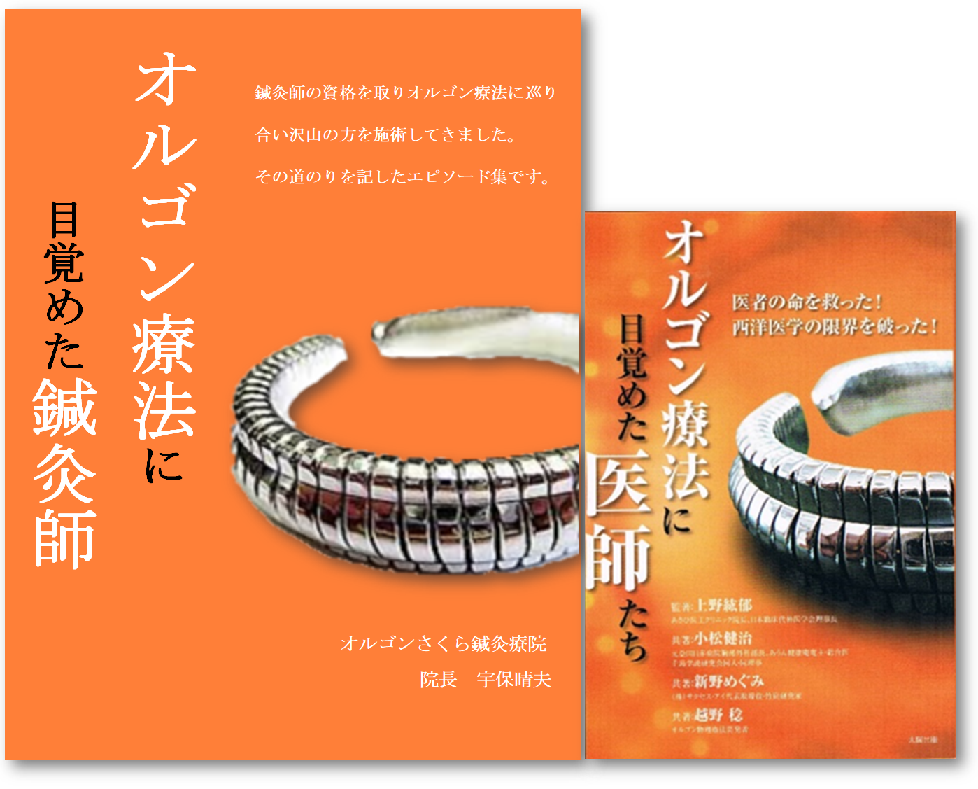 とことん心身を癒す越野式 オルゴン療法のすべて Amazon.co.jp: とことん心身を癒す越野式 オルゴン療法のすべて1
